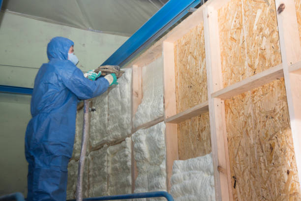 Best Insulation Replacement Services  in USA